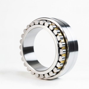 Double Row Cylindrical Roller Bearing OD:200mm